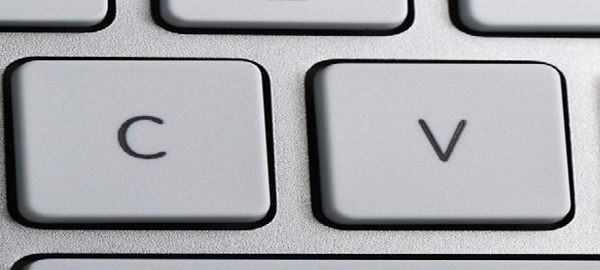 cv writing training tips nelson training