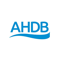 ADHB